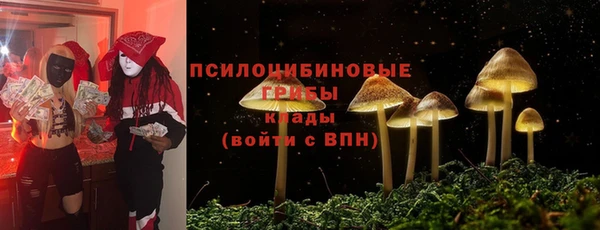 прущая мука Богородицк