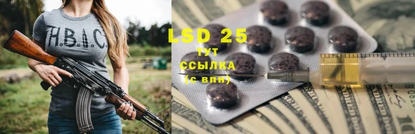 гидра Богданович