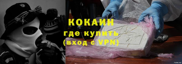 гидра Богданович