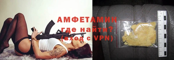 гидра Богданович