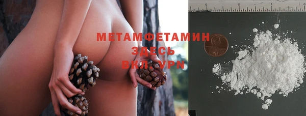 гидра Богданович
