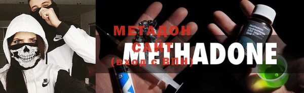 гидра Богданович
