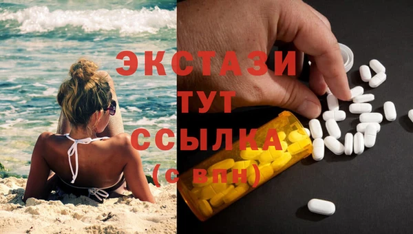 гидра Богданович