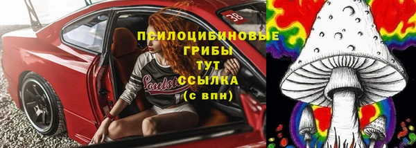 гидра Богданович