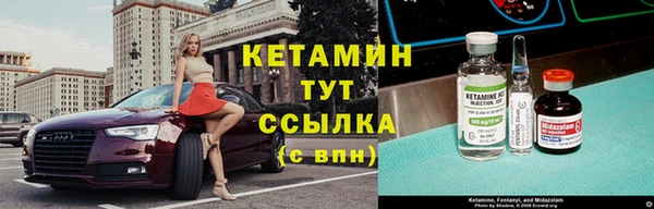 гидра Богданович