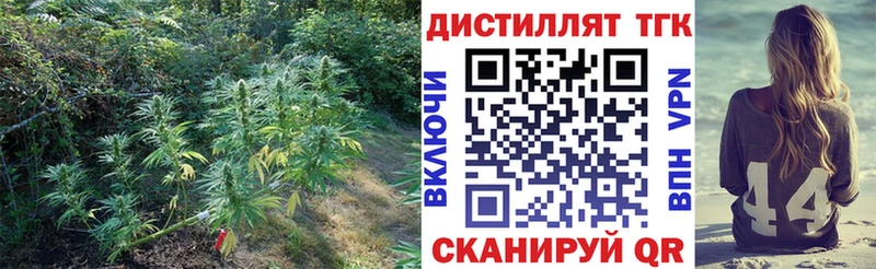 ТГК концентрат  Короча 